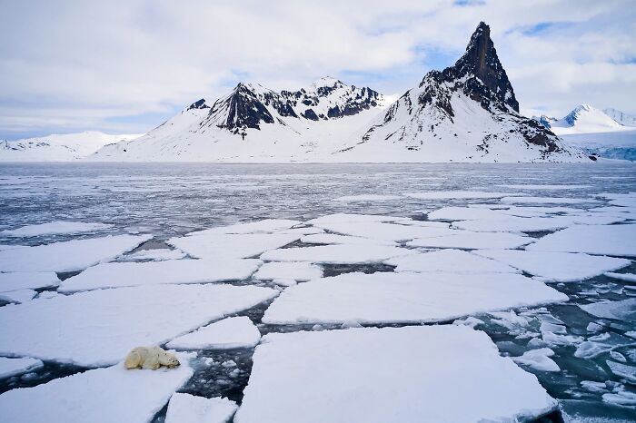 62 Stunning Photos From The Ournature Environmental Photo Awards 2026