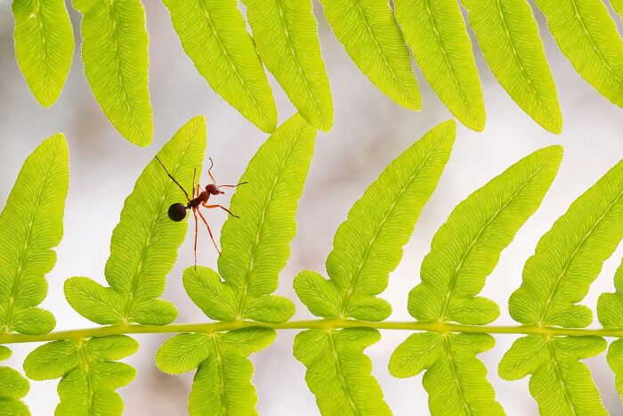 62 Stunning Photos From The Ournature Environmental Photo Awards 2026