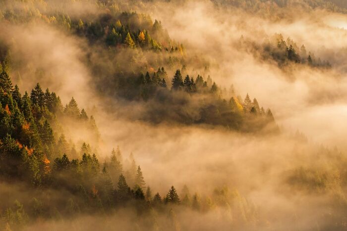 62 Stunning Photos From The Ournature Environmental Photo Awards 2026