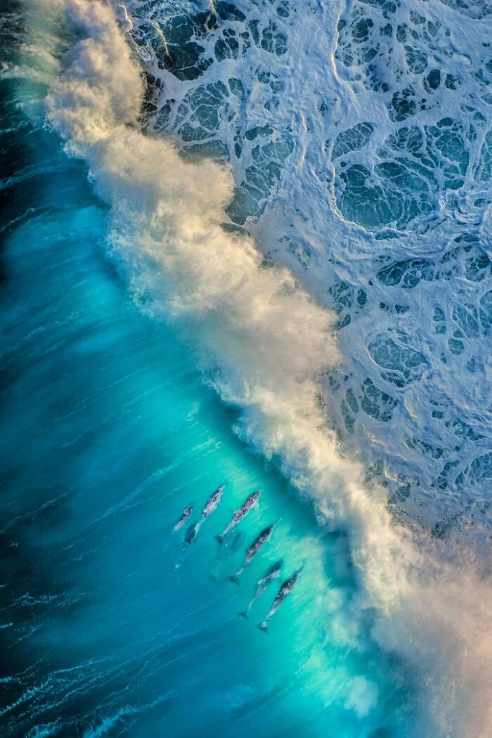 62 Stunning Photos From The Ournature Environmental Photo Awards 2026