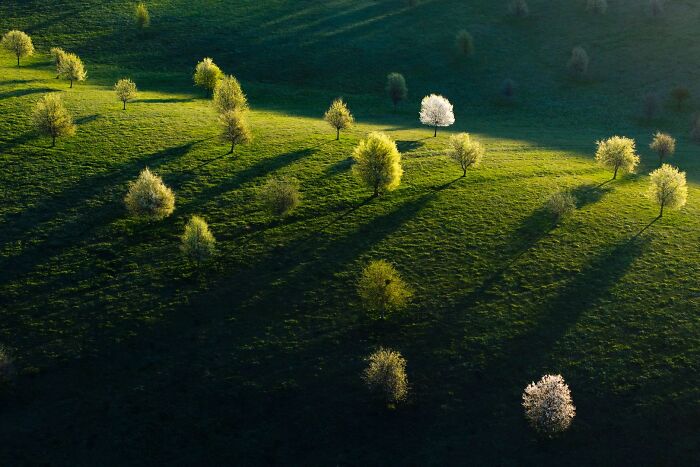 62 Stunning Photos From The Ournature Environmental Photo Awards 2026