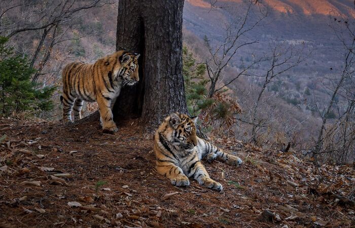 62 Stunning Photos From The Ournature Environmental Photo Awards 2026