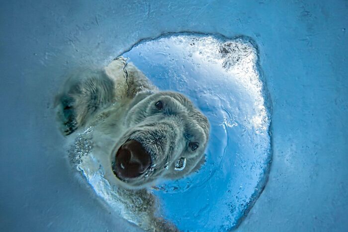 62 Stunning Photos From The Ournature Environmental Photo Awards 2026
