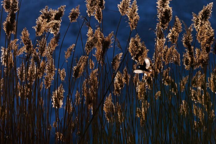 62 Stunning Photos From The Ournature Environmental Photo Awards 2026