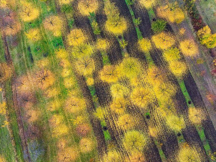 62 Stunning Photos From The Ournature Environmental Photo Awards 2026