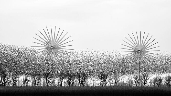 62 Stunning Photos From The Ournature Environmental Photo Awards 2026
