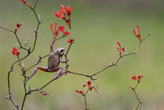 62 Stunning Photos From The Ournature Environmental Photo Awards 2026