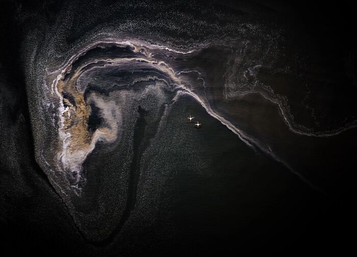 62 Stunning Photos From The Ournature Environmental Photo Awards 2026