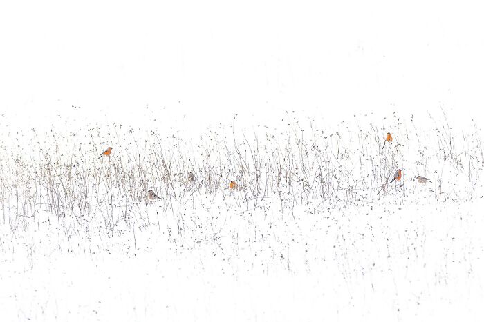 62 Stunning Photos From The Ournature Environmental Photo Awards 2026