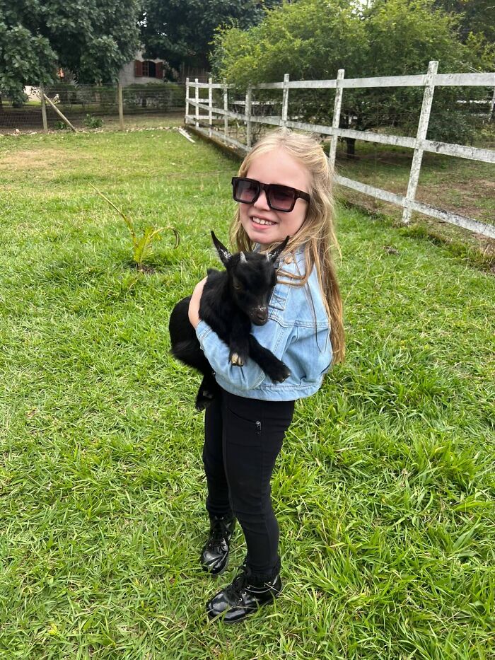 “I’ve Never Seen This Before”: Animal-Trainer Stunned After A Budgie Naps In His Daughter’s Hair “I’ve Never Seen This Before”: Animal-Trainer Stunned After A Budgie Naps In His Daughter’s Hair