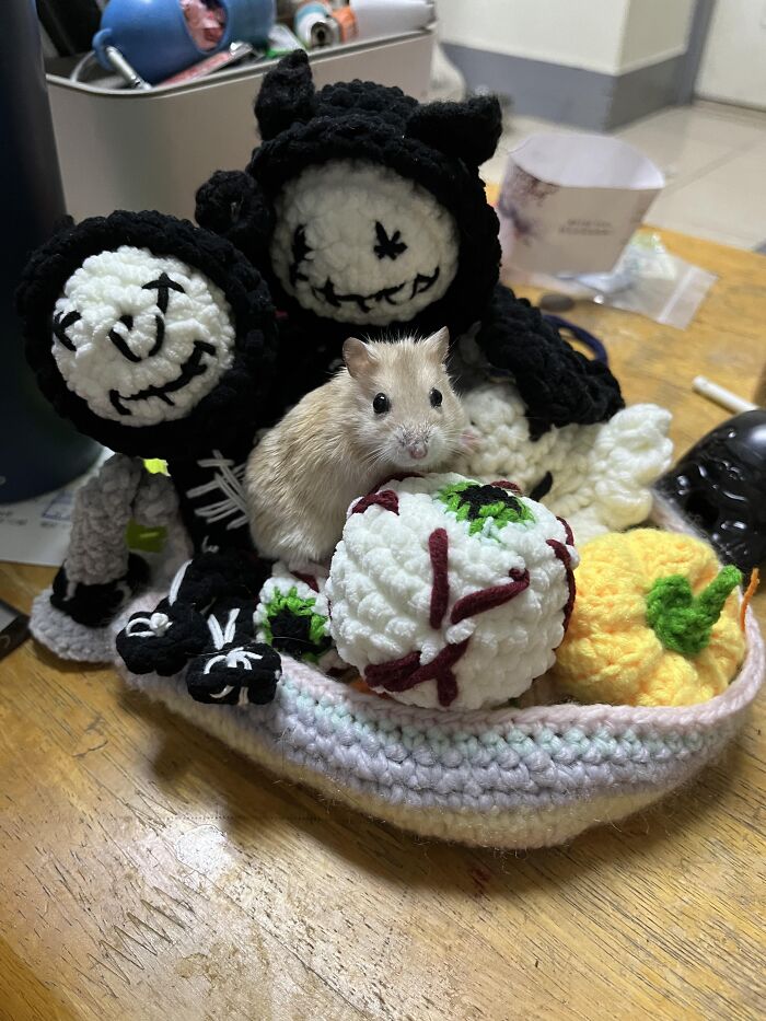 86 Fun And Spooky Crochet Projects People Rushed To Finish Before Halloween