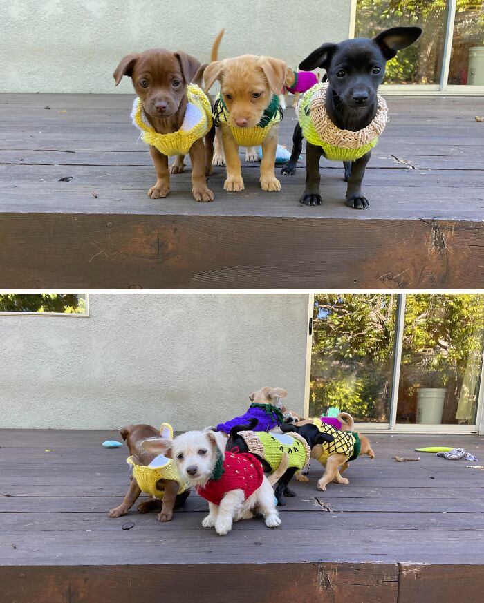 86 Fun And Spooky Crochet Projects People Rushed To Finish Before Halloween