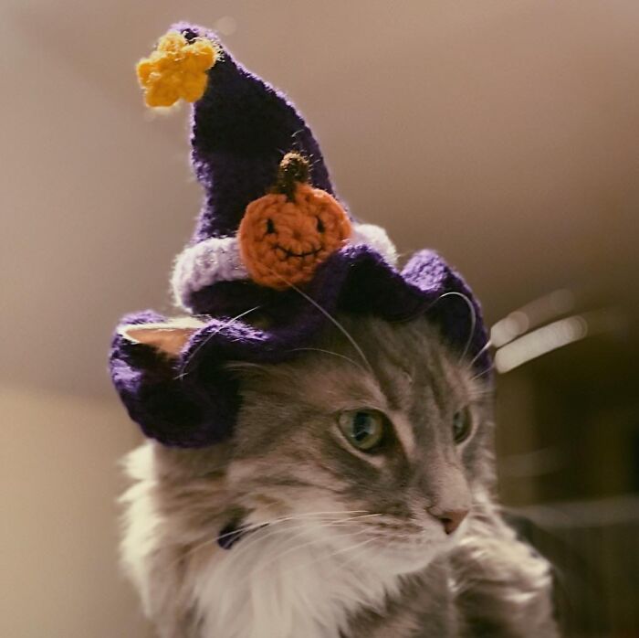 86 Fun And Spooky Crochet Projects People Rushed To Finish Before Halloween