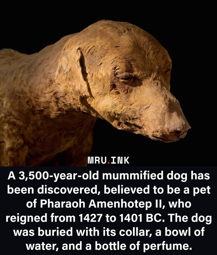 69 Fascinating Photos And Facts That Reveal Just How Strange The World Can Be