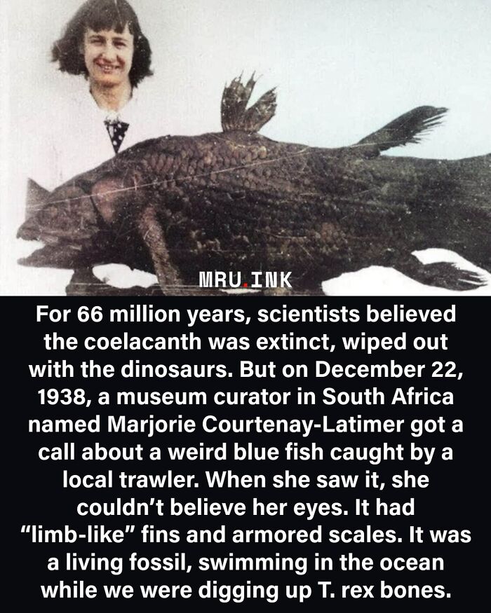 69 Fascinating Photos And Facts That Reveal Just How Strange The World Can Be