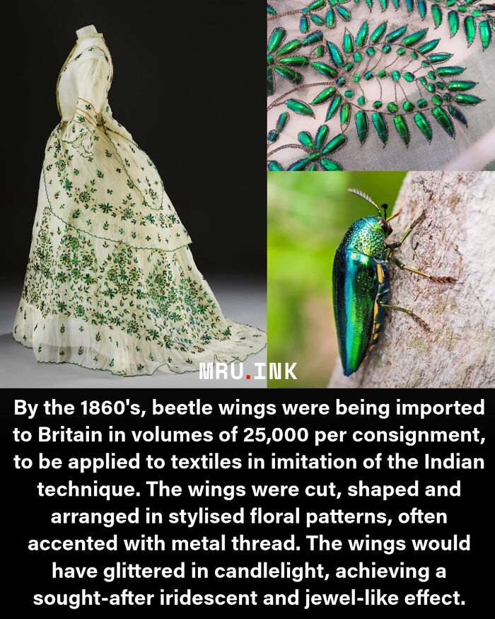 69 Fascinating Photos And Facts That Reveal Just How Strange The World Can Be