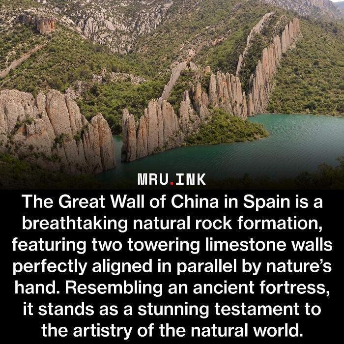 69 Fascinating Photos And Facts That Reveal Just How Strange The World Can Be