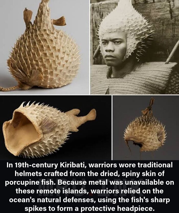 69 Fascinating Photos And Facts That Reveal Just How Strange The World Can Be