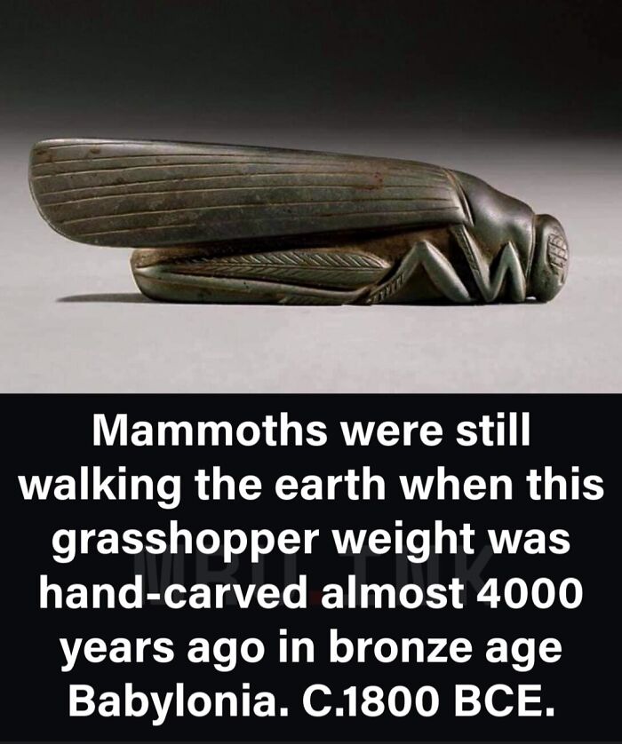 69 Fascinating Photos And Facts That Reveal Just How Strange The World Can Be