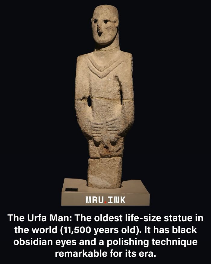 69 Fascinating Photos And Facts That Reveal Just How Strange The World Can Be