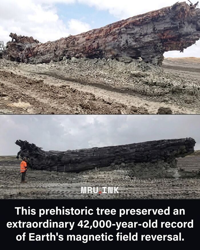 69 Fascinating Photos And Facts That Reveal Just How Strange The World Can Be