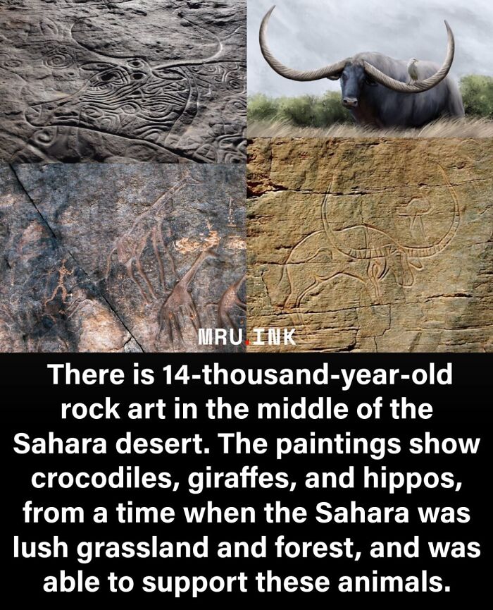 69 Fascinating Photos And Facts That Reveal Just How Strange The World Can Be