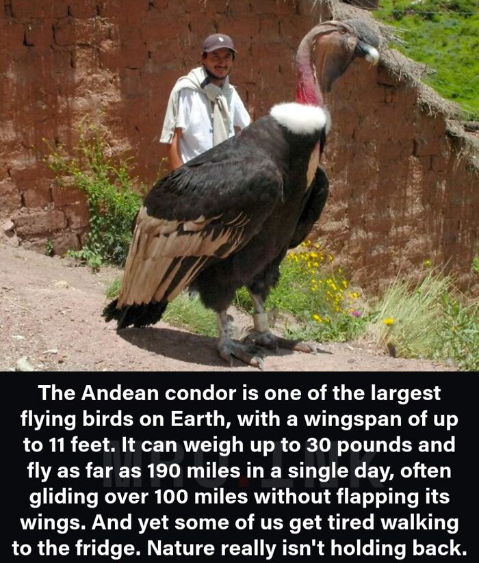 69 Fascinating Photos And Facts That Reveal Just How Strange The World Can Be