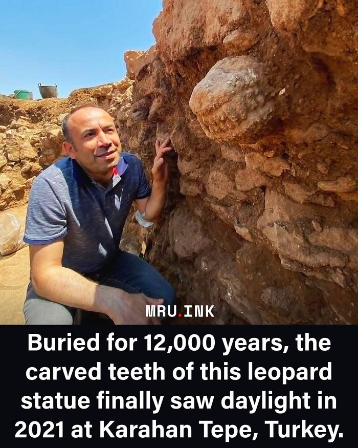 69 Fascinating Photos And Facts That Reveal Just How Strange The World Can Be
