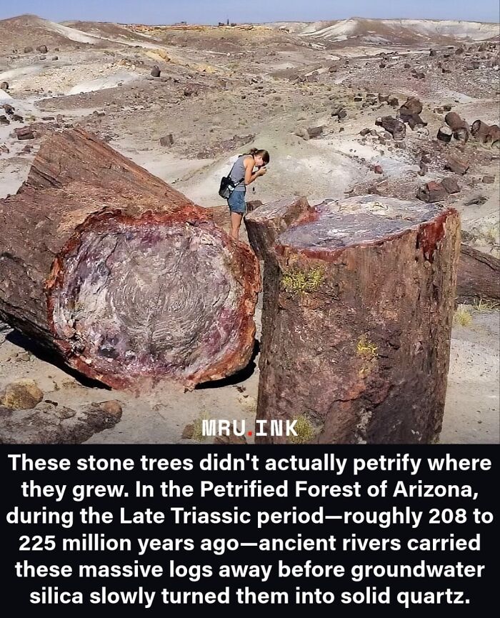 69 Fascinating Photos And Facts That Reveal Just How Strange The World Can Be