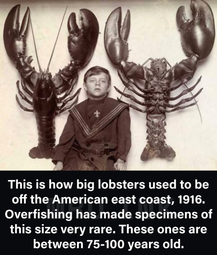 69 Fascinating Photos And Facts That Reveal Just How Strange The World Can Be