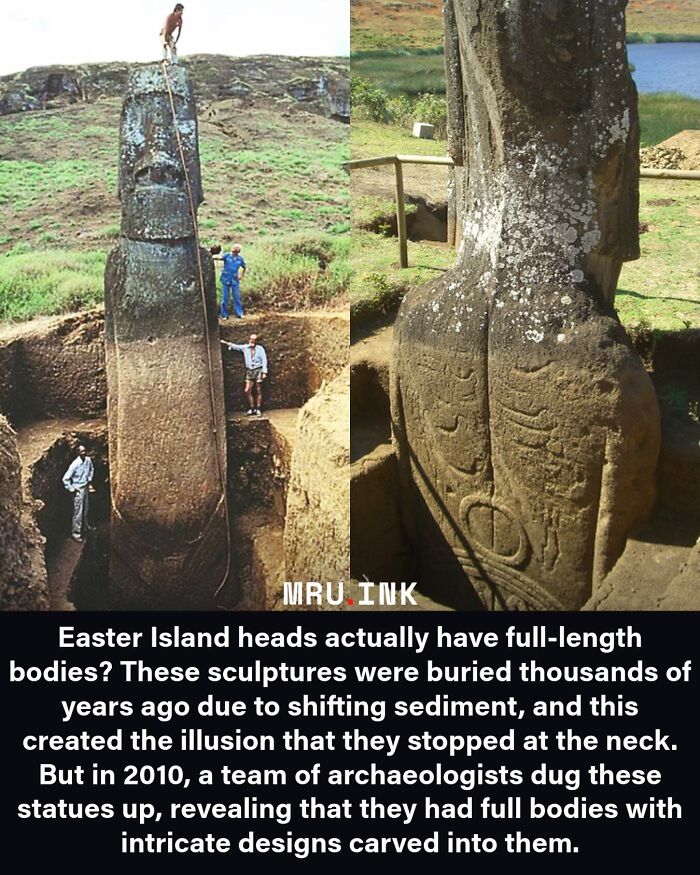 69 Fascinating Photos And Facts That Reveal Just How Strange The World Can Be