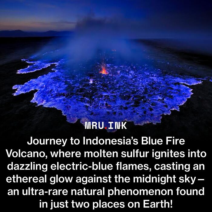69 Fascinating Photos And Facts That Reveal Just How Strange The World Can Be