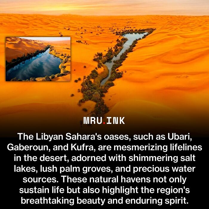 69 Fascinating Photos And Facts That Reveal Just How Strange The World Can Be