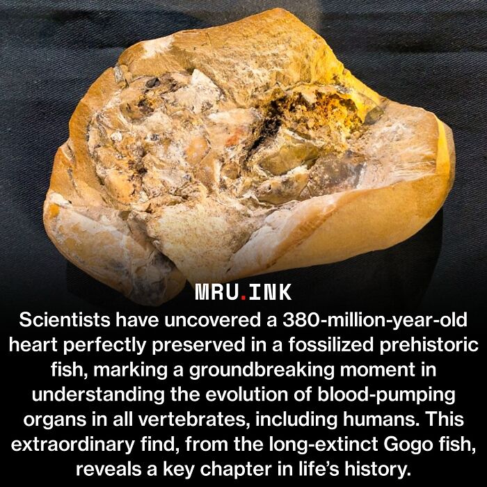 69 Fascinating Photos And Facts That Reveal Just How Strange The World Can Be