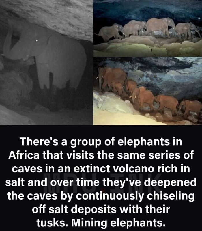 69 Fascinating Photos And Facts That Reveal Just How Strange The World Can Be