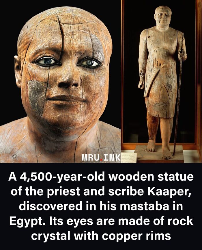 69 Fascinating Photos And Facts That Reveal Just How Strange The World Can Be