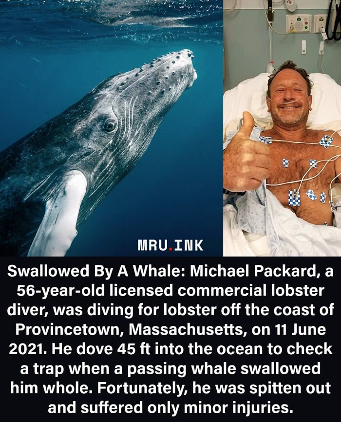 69 Fascinating Photos And Facts That Reveal Just How Strange The World Can Be