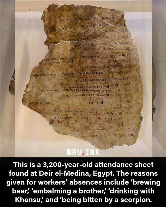 69 Fascinating Photos And Facts That Reveal Just How Strange The World Can Be