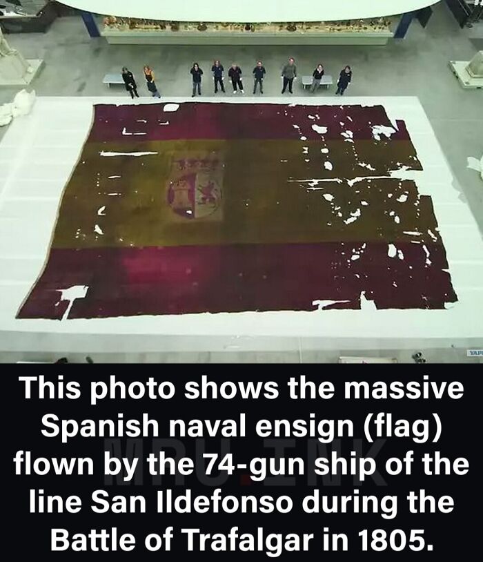 69 Fascinating Photos And Facts That Reveal Just How Strange The World Can Be