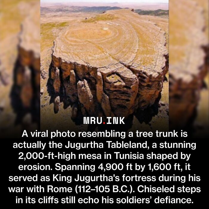 69 Fascinating Photos And Facts That Reveal Just How Strange The World Can Be