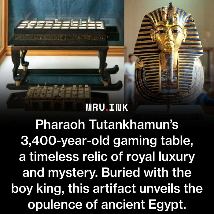 69 Fascinating Photos And Facts That Reveal Just How Strange The World Can Be
