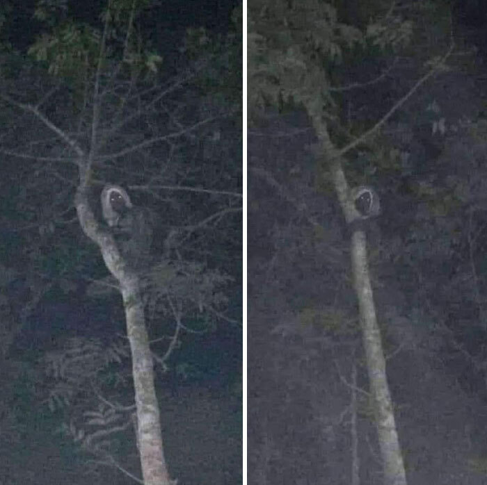 49 Real-Life Photos That Look Like Someone Accidentally Stepped Into A Horror Movie