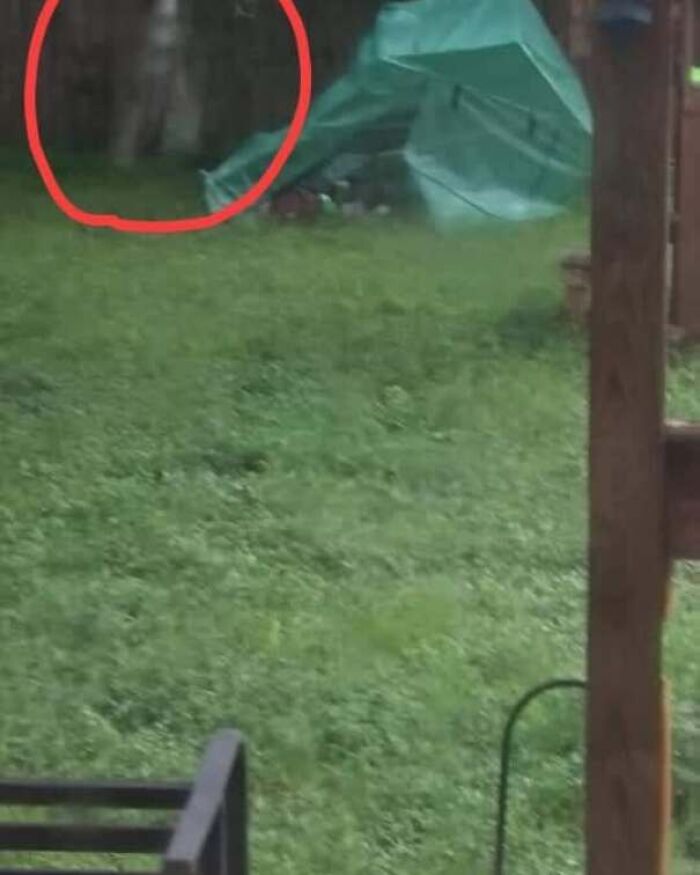 49 Real-Life Photos That Look Like Someone Accidentally Stepped Into A Horror Movie