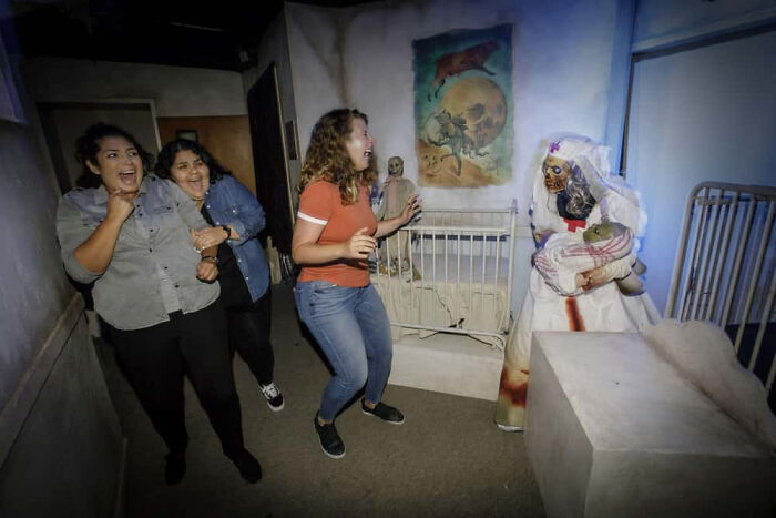 89 Haunted House Photos Taken At The Exact Moment People Completely Lost It 89 Haunted House Photos Taken At The Exact Moment People Completely Lost It