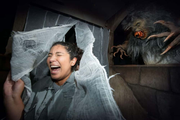 89 Haunted House Photos Taken At The Exact Moment People Completely Lost It 89 Haunted House Photos Taken At The Exact Moment People Completely Lost It