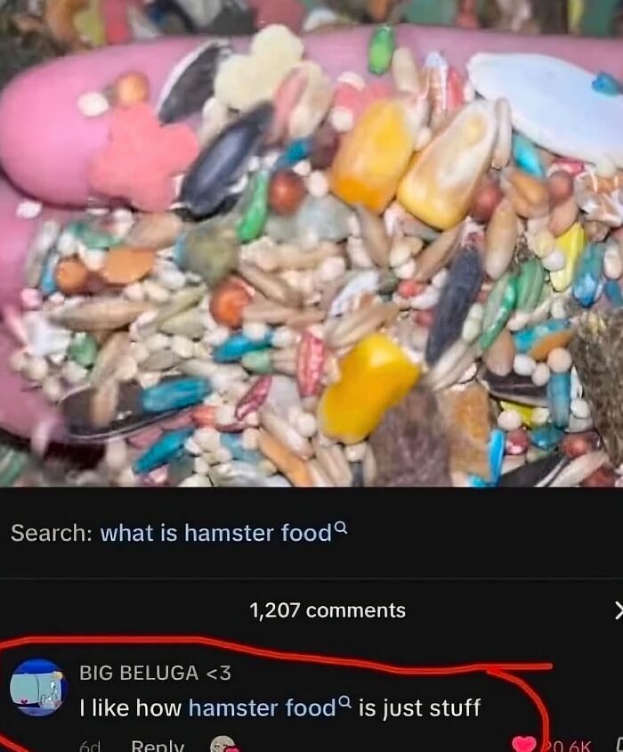 63 Memes That Need Absolutely Zero Context To Be Funny 63 Memes That Need Absolutely Zero Context To Be Funny