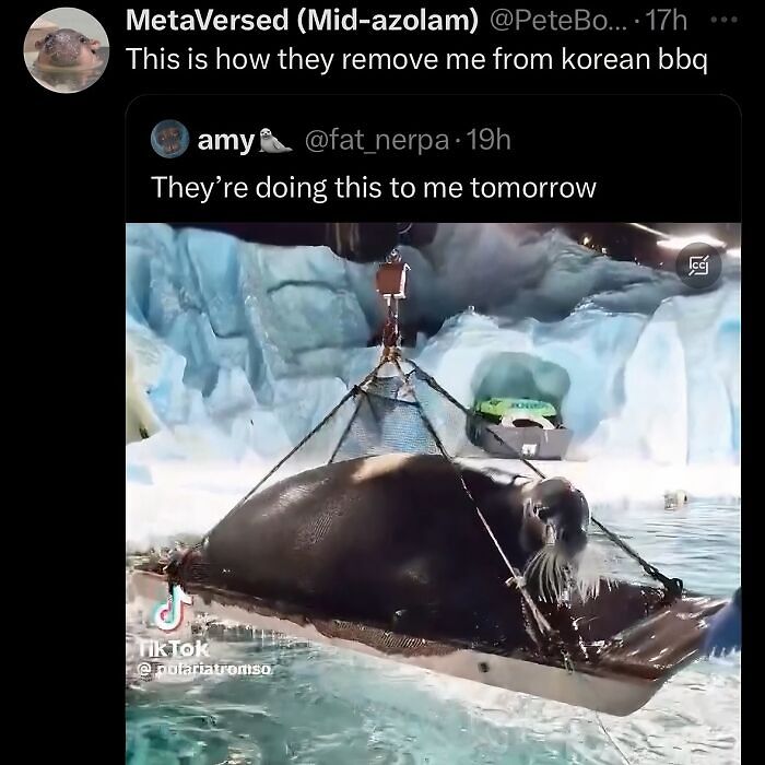 63 Memes That Need Absolutely Zero Context To Be Funny 63 Memes That Need Absolutely Zero Context To Be Funny