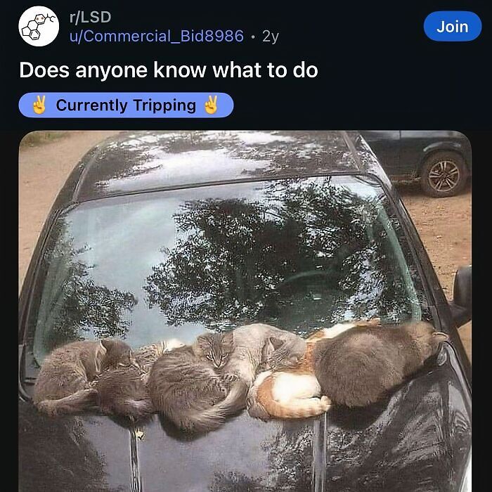 63 Memes That Need Absolutely Zero Context To Be Funny 63 Memes That Need Absolutely Zero Context To Be Funny