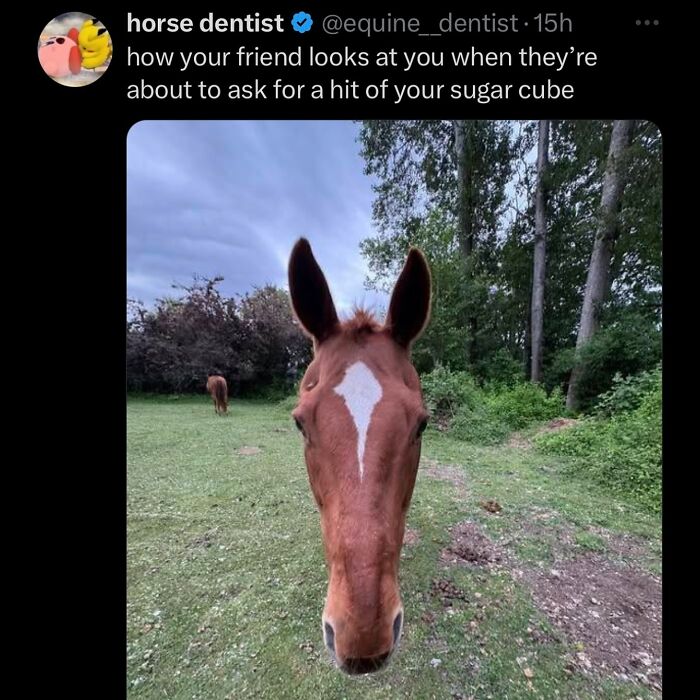 63 Memes That Need Absolutely Zero Context To Be Funny 63 Memes That Need Absolutely Zero Context To Be Funny