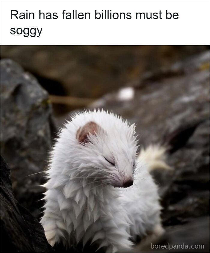 63 Memes That Need Absolutely Zero Context To Be Funny 63 Memes That Need Absolutely Zero Context To Be Funny